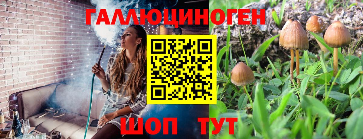 Дюртюли  Галлюциногенные грибы Psilocybe  Галлюциногенные грибы MAGIC MUSHROOMS  Вход с VPN 